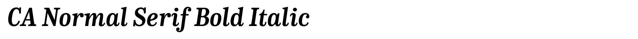 CA Normal Serif Bold Italic image
